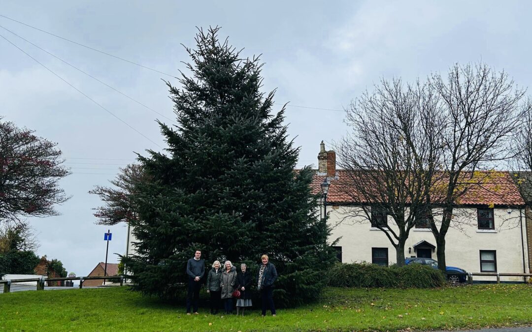 Families cheer village’s first Christmas tree